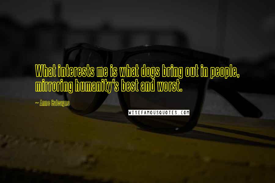 Anne Calcagno Quotes: What interests me is what dogs bring out in people, mirroring humanity's best and worst.