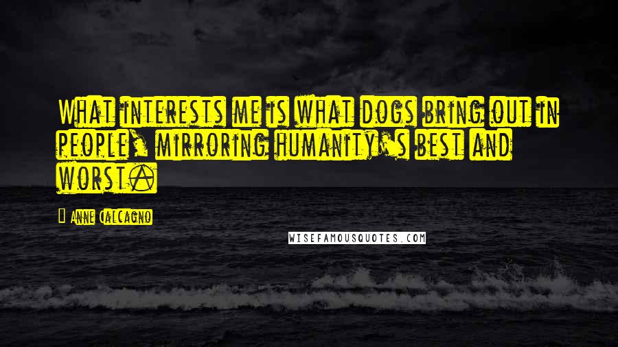 Anne Calcagno Quotes: What interests me is what dogs bring out in people, mirroring humanity's best and worst.