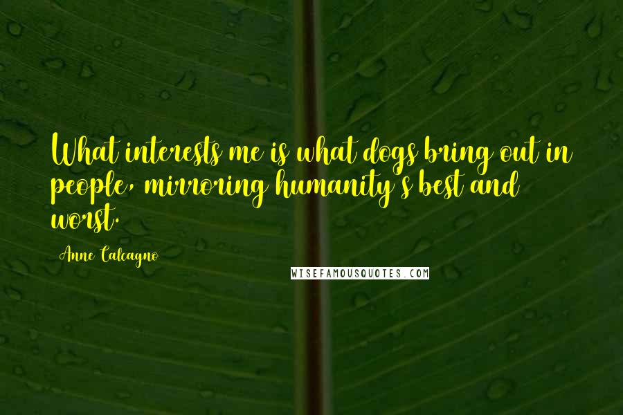 Anne Calcagno Quotes: What interests me is what dogs bring out in people, mirroring humanity's best and worst.