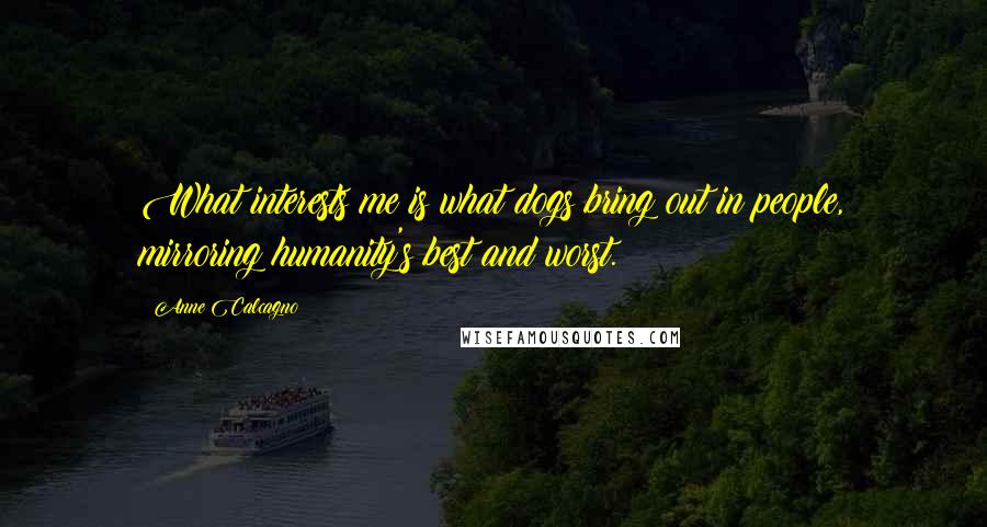 Anne Calcagno Quotes: What interests me is what dogs bring out in people, mirroring humanity's best and worst.