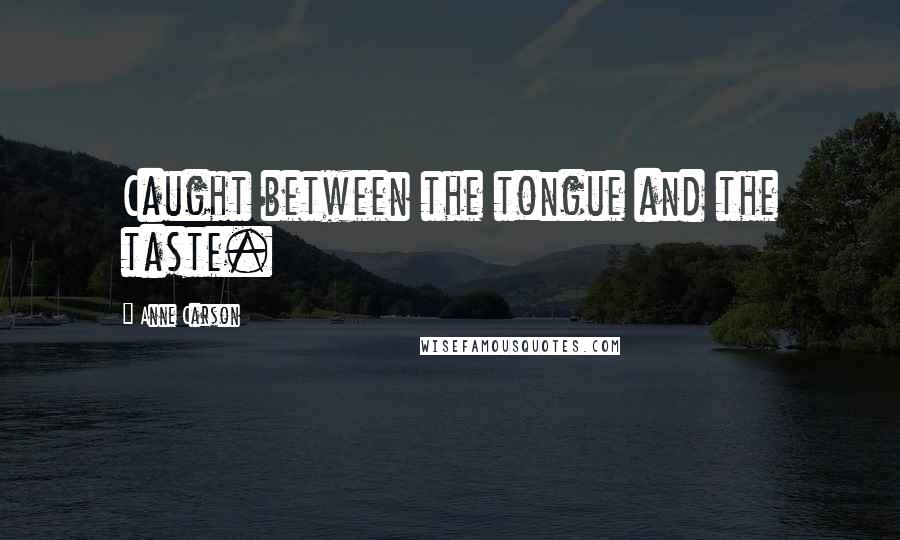 Anne Carson Quotes: Caught between the tongue and the taste.