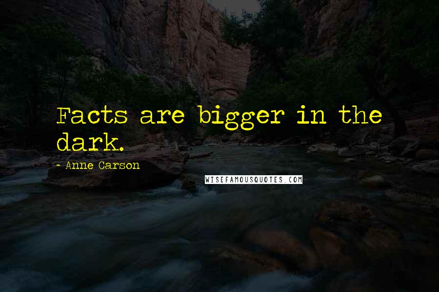 Anne Carson Quotes: Facts are bigger in the dark.