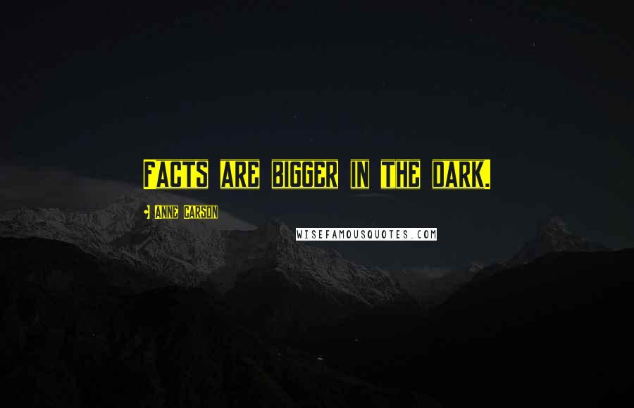 Anne Carson Quotes: Facts are bigger in the dark.