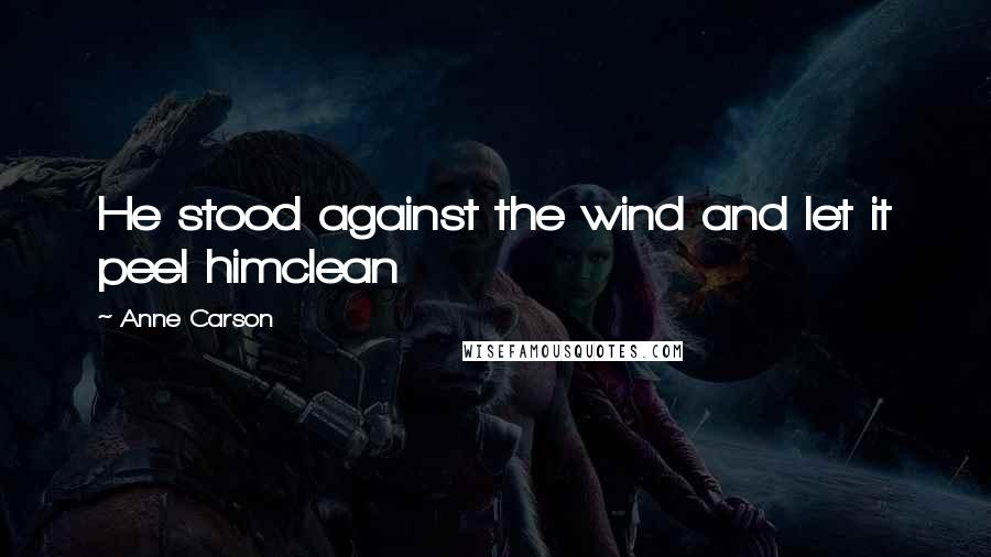 Anne Carson Quotes: He stood against the wind and let it peel himclean
