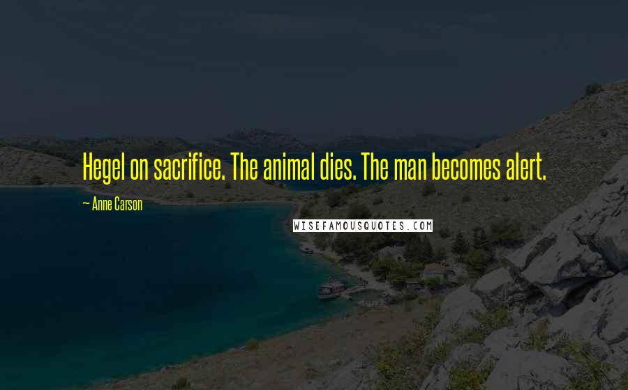 Anne Carson Quotes: Hegel on sacrifice. The animal dies. The man becomes alert.