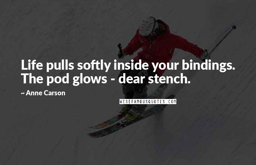 Anne Carson Quotes: Life pulls softly inside your bindings. The pod glows - dear stench.