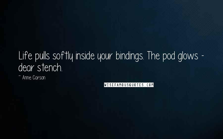 Anne Carson Quotes: Life pulls softly inside your bindings. The pod glows - dear stench.