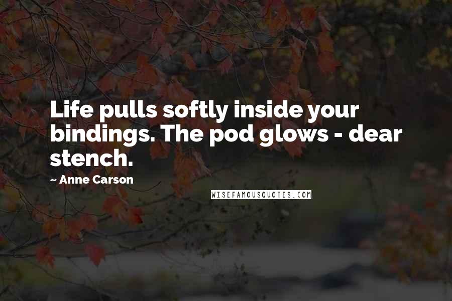 Anne Carson Quotes: Life pulls softly inside your bindings. The pod glows - dear stench.