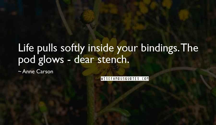 Anne Carson Quotes: Life pulls softly inside your bindings. The pod glows - dear stench.