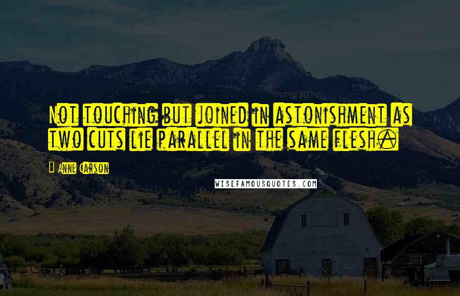 Anne Carson Quotes: Not touching but joined in astonishment as two cuts lie parallel in the same flesh.