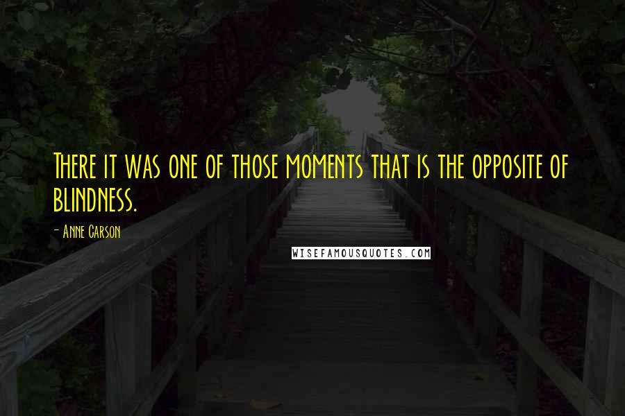 Anne Carson Quotes: There it was one of those moments that is the opposite of blindness.