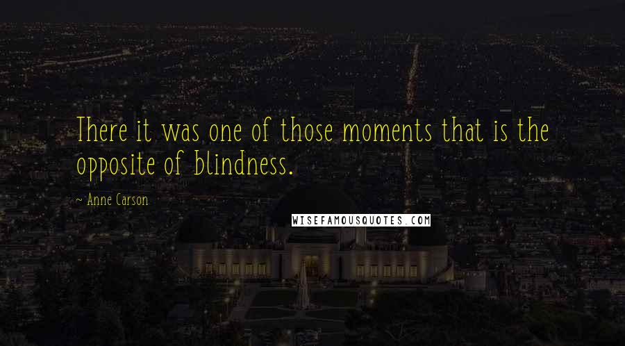 Anne Carson Quotes: There it was one of those moments that is the opposite of blindness.