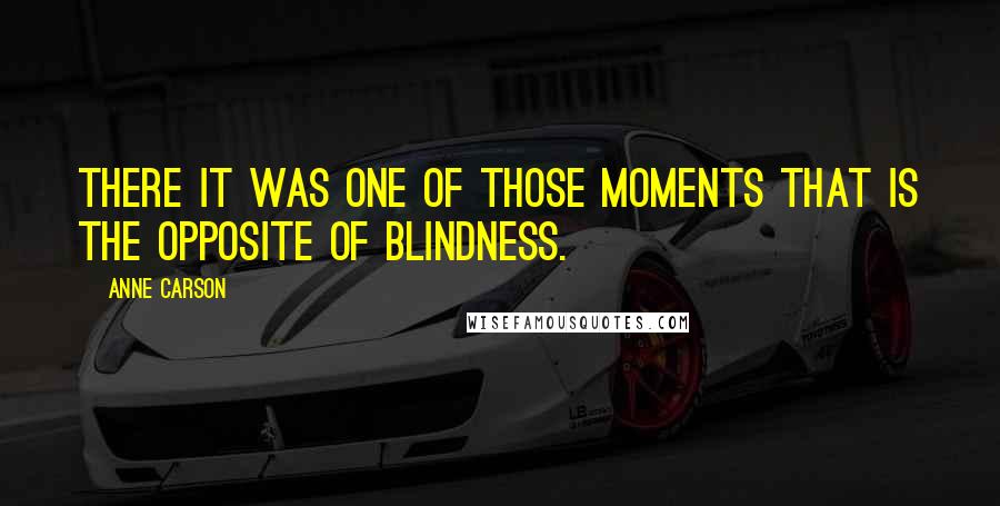 Anne Carson Quotes: There it was one of those moments that is the opposite of blindness.