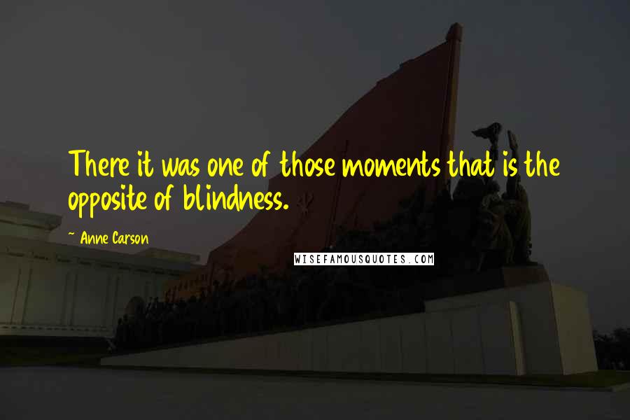 Anne Carson Quotes: There it was one of those moments that is the opposite of blindness.