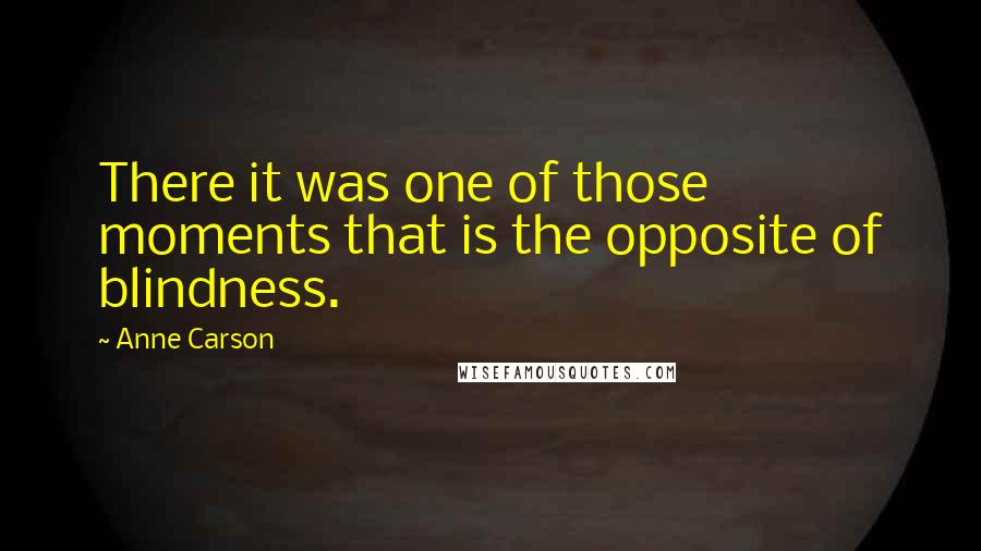 Anne Carson Quotes: There it was one of those moments that is the opposite of blindness.