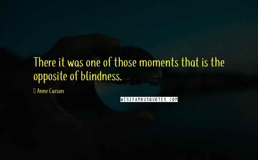 Anne Carson Quotes: There it was one of those moments that is the opposite of blindness.