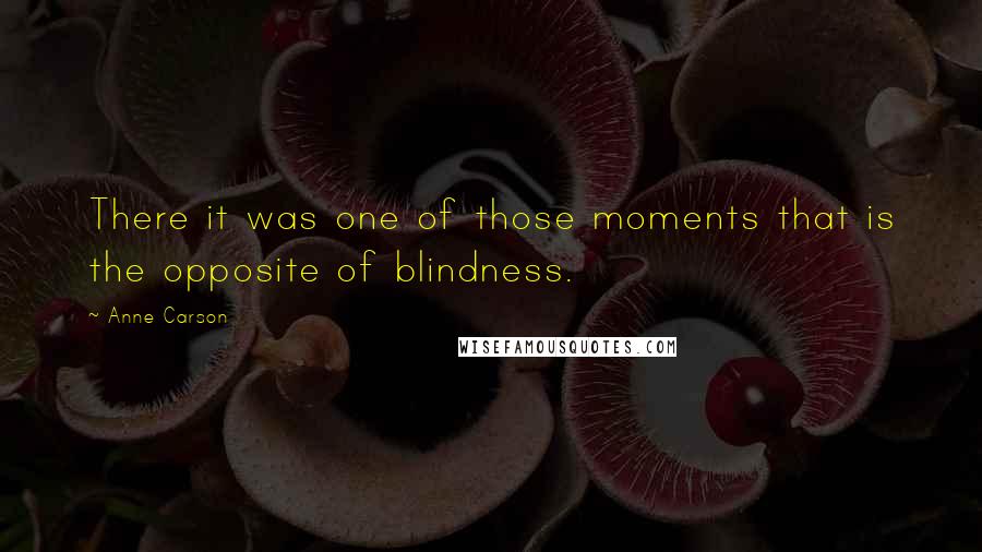 Anne Carson Quotes: There it was one of those moments that is the opposite of blindness.