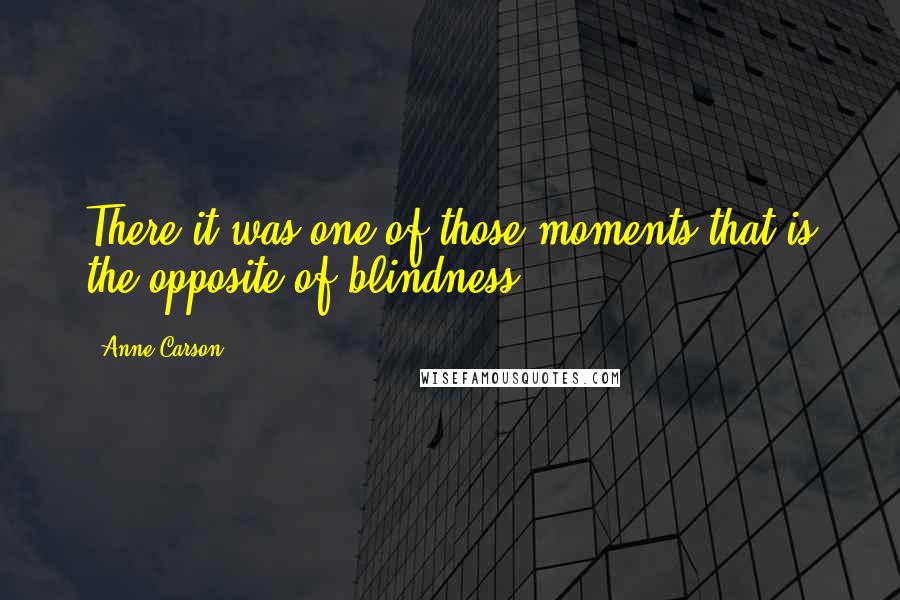 Anne Carson Quotes: There it was one of those moments that is the opposite of blindness.