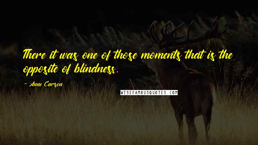 Anne Carson Quotes: There it was one of those moments that is the opposite of blindness.