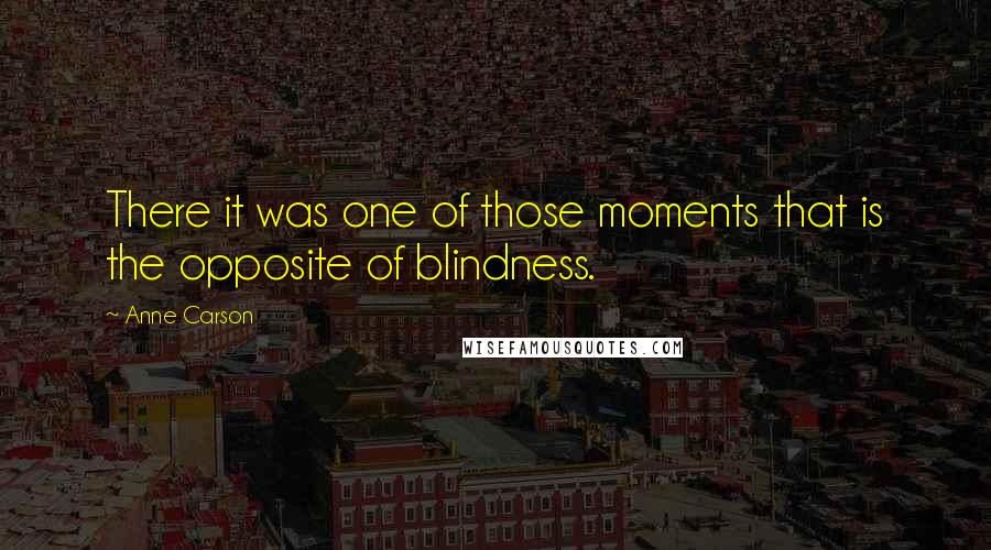 Anne Carson Quotes: There it was one of those moments that is the opposite of blindness.