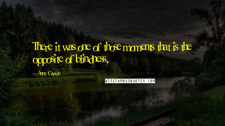 Anne Carson Quotes: There it was one of those moments that is the opposite of blindness.