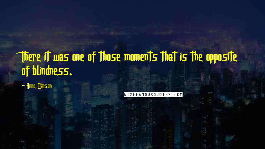 Anne Carson Quotes: There it was one of those moments that is the opposite of blindness.