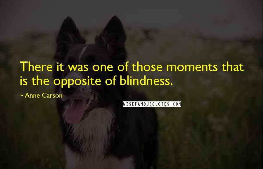 Anne Carson Quotes: There it was one of those moments that is the opposite of blindness.