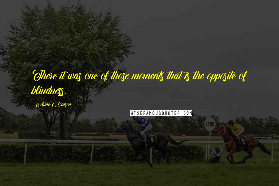 Anne Carson Quotes: There it was one of those moments that is the opposite of blindness.
