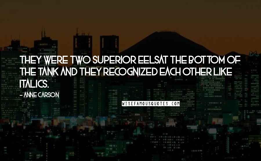 Anne Carson Quotes: They were two superior eelsat the bottom of the tank and they recognized each other like italics.