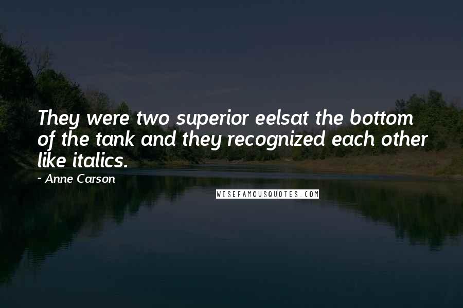 Anne Carson Quotes: They were two superior eelsat the bottom of the tank and they recognized each other like italics.