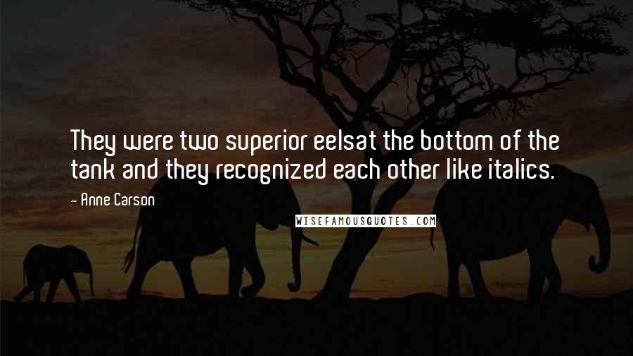 Anne Carson Quotes: They were two superior eelsat the bottom of the tank and they recognized each other like italics.