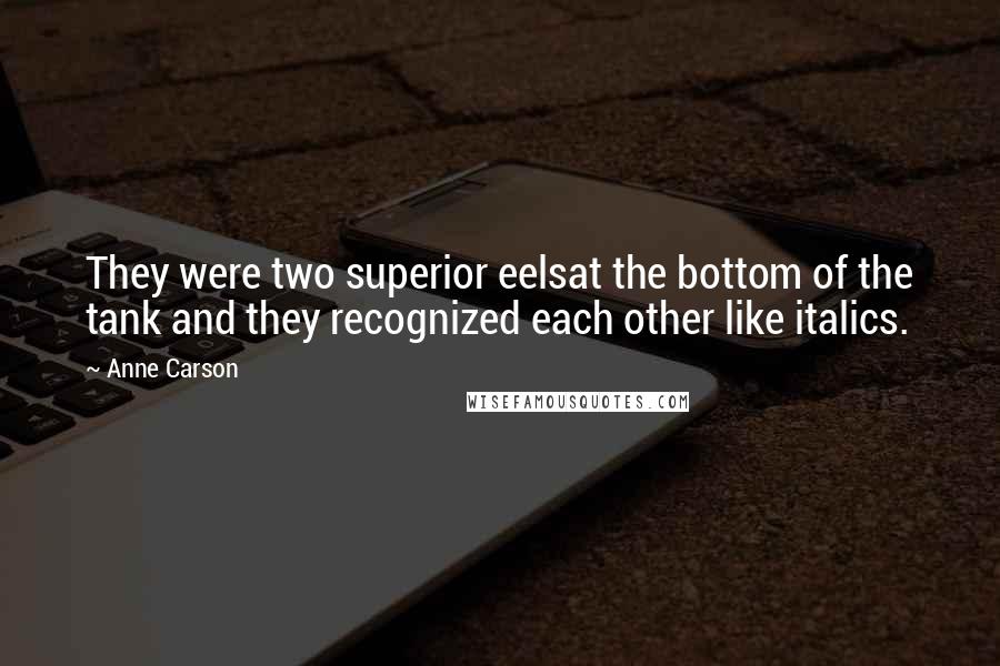 Anne Carson Quotes: They were two superior eelsat the bottom of the tank and they recognized each other like italics.