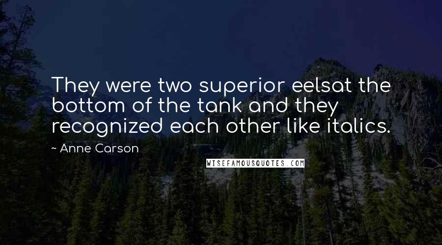 Anne Carson Quotes: They were two superior eelsat the bottom of the tank and they recognized each other like italics.