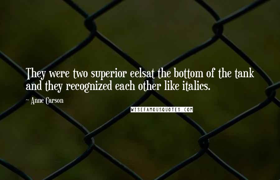 Anne Carson Quotes: They were two superior eelsat the bottom of the tank and they recognized each other like italics.