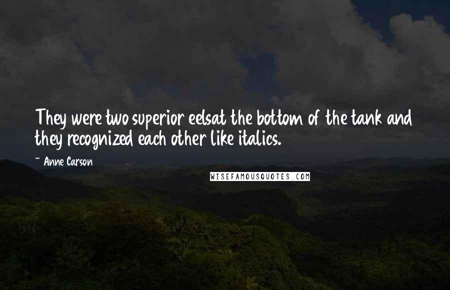 Anne Carson Quotes: They were two superior eelsat the bottom of the tank and they recognized each other like italics.