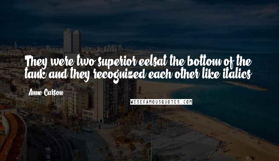 Anne Carson Quotes: They were two superior eelsat the bottom of the tank and they recognized each other like italics.