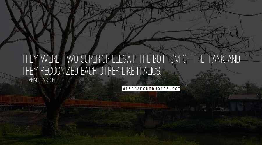 Anne Carson Quotes: They were two superior eelsat the bottom of the tank and they recognized each other like italics.