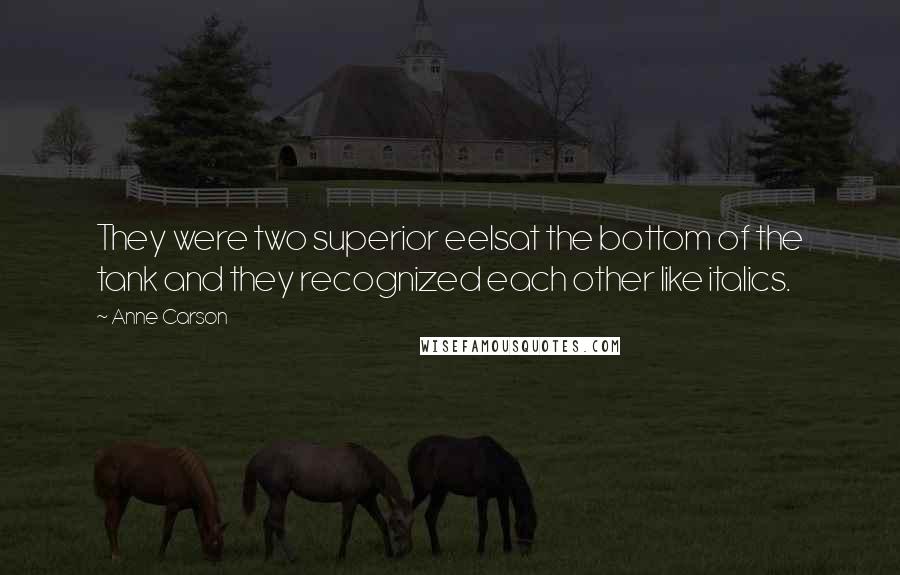 Anne Carson Quotes: They were two superior eelsat the bottom of the tank and they recognized each other like italics.