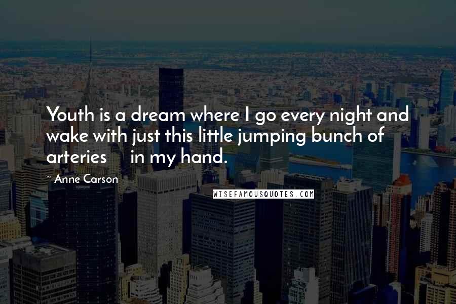 Anne Carson Quotes: Youth is a dream where I go every night and wake with just this little jumping bunch of arteries in my hand.