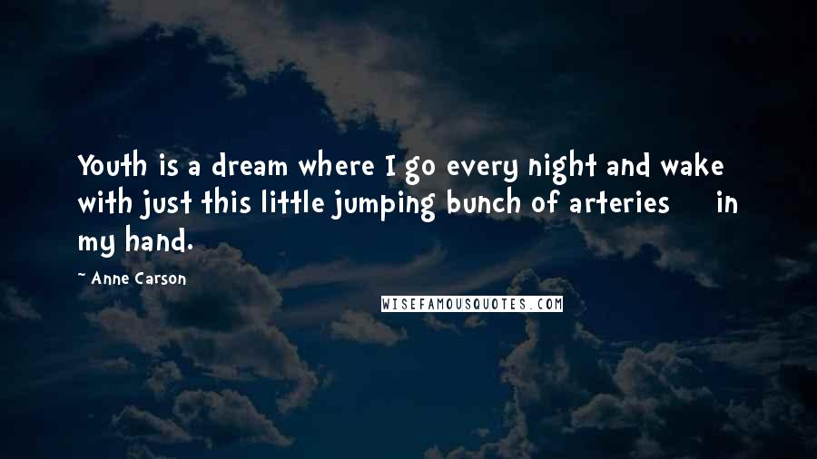 Anne Carson Quotes: Youth is a dream where I go every night and wake with just this little jumping bunch of arteries in my hand.