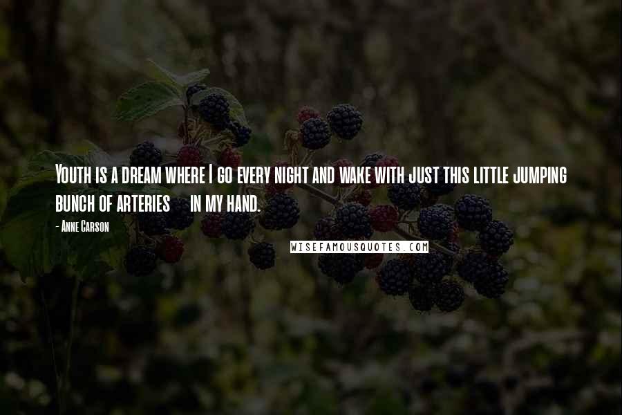 Anne Carson Quotes: Youth is a dream where I go every night and wake with just this little jumping bunch of arteries in my hand.
