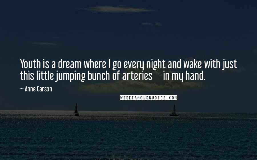 Anne Carson Quotes: Youth is a dream where I go every night and wake with just this little jumping bunch of arteries     in my hand.