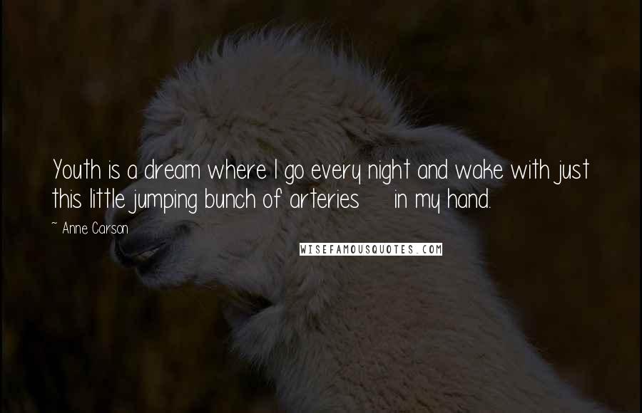 Anne Carson Quotes: Youth is a dream where I go every night and wake with just this little jumping bunch of arteries     in my hand.