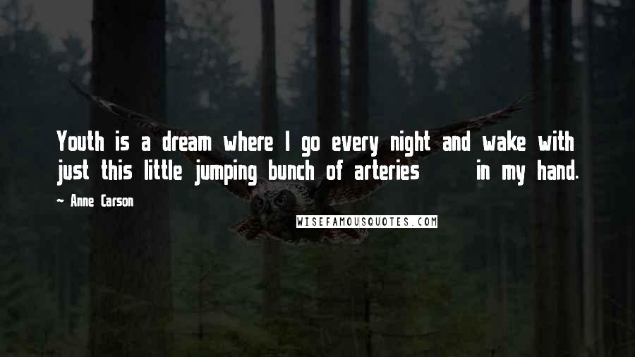Anne Carson Quotes: Youth is a dream where I go every night and wake with just this little jumping bunch of arteries     in my hand.