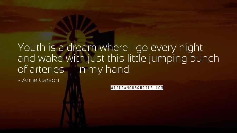 Anne Carson Quotes: Youth is a dream where I go every night and wake with just this little jumping bunch of arteries in my hand.