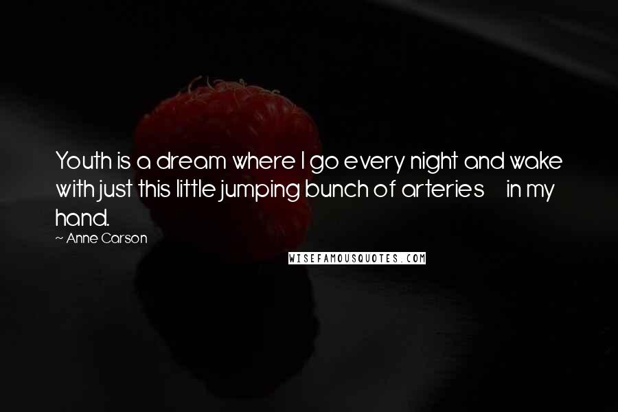 Anne Carson Quotes: Youth is a dream where I go every night and wake with just this little jumping bunch of arteries in my hand.