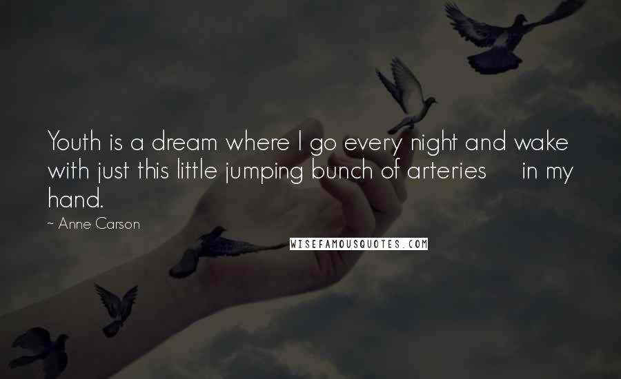 Anne Carson Quotes: Youth is a dream where I go every night and wake with just this little jumping bunch of arteries in my hand.
