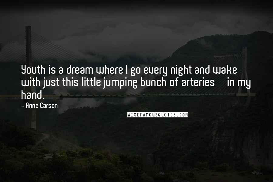 Anne Carson Quotes: Youth is a dream where I go every night and wake with just this little jumping bunch of arteries in my hand.