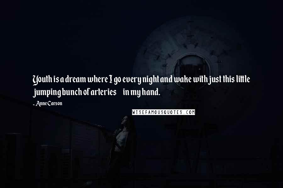 Anne Carson Quotes: Youth is a dream where I go every night and wake with just this little jumping bunch of arteries     in my hand.