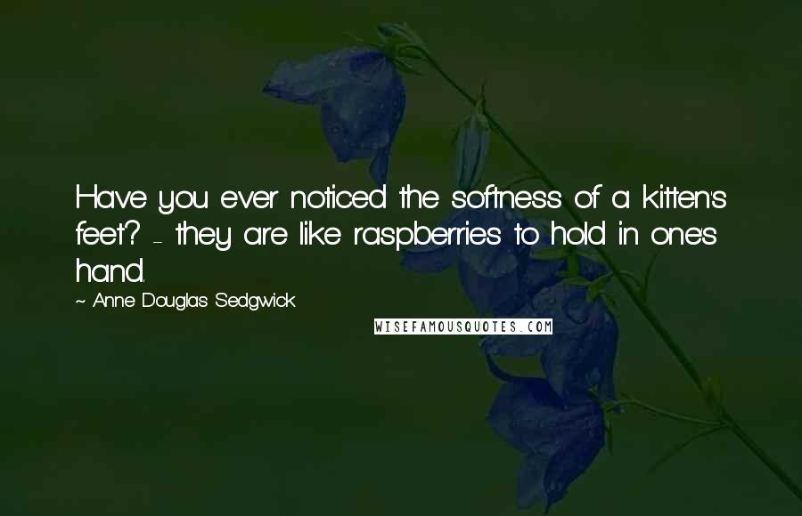 Anne Douglas Sedgwick Quotes: Have you ever noticed the softness of a kitten's feet? - they are like raspberries to hold in one's hand.